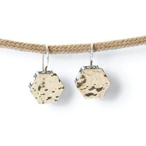 Designer Silver Earrings with 14k Gold